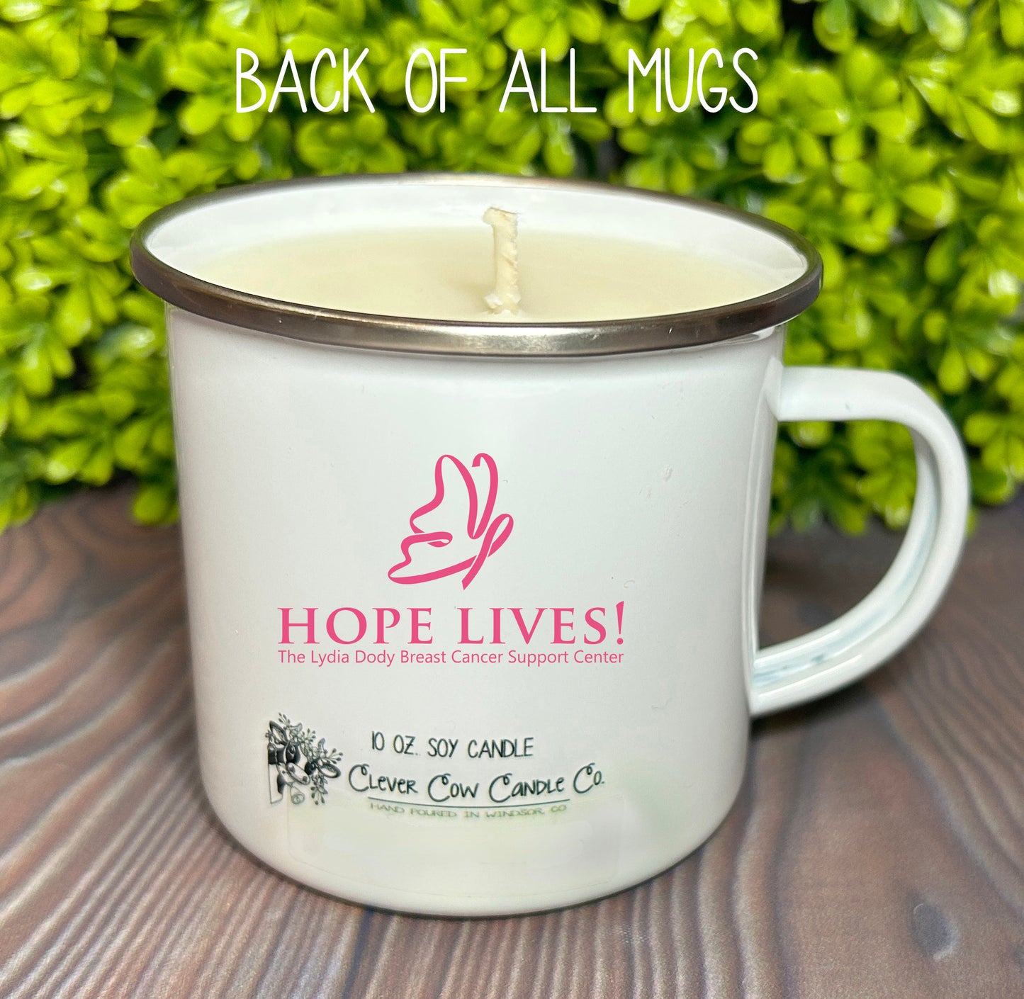 Hope Lives! Fundraiser