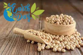 Happy Earth Day: How Soy Wax is the Environmentally Friendly Candle Solution